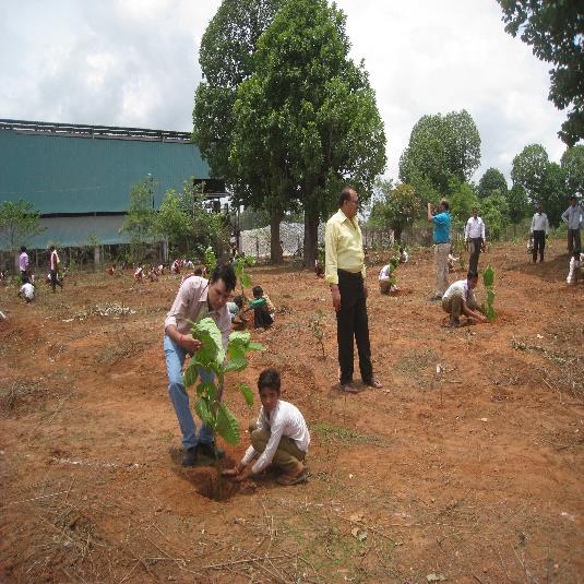 Tree Plantation Drive